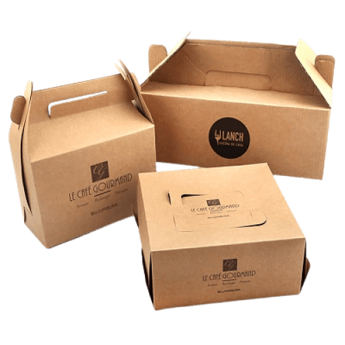 takeout-box-packaging-3